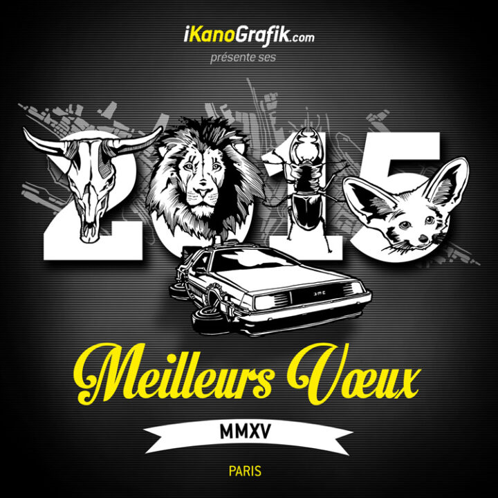 a graphic design for new year 2015 meilleurs voeux 2015