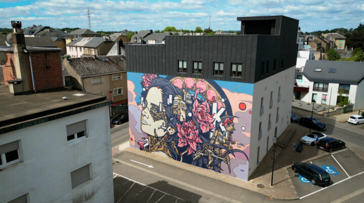 elsa belgium a street art mural made by alex kanos in aubange belgium representing a woman with mechanical parts and flowers, view by drone