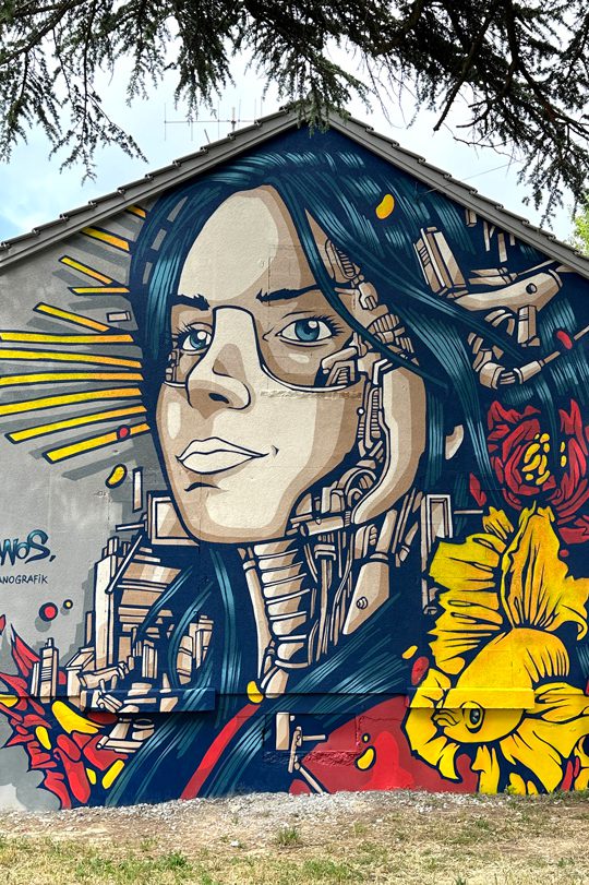 A street art Mural paint by Alex Kanos in Geneva A street art Mural paint by Alex Kanos in Geneva