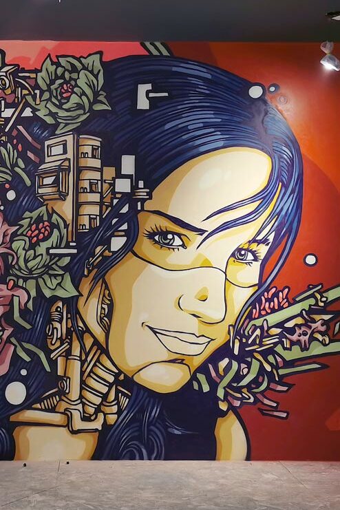 Street Art Mural Lyon John Reed (6) Close-up on a Street Art Mural by Alex Kanos made for John Reed Lyon