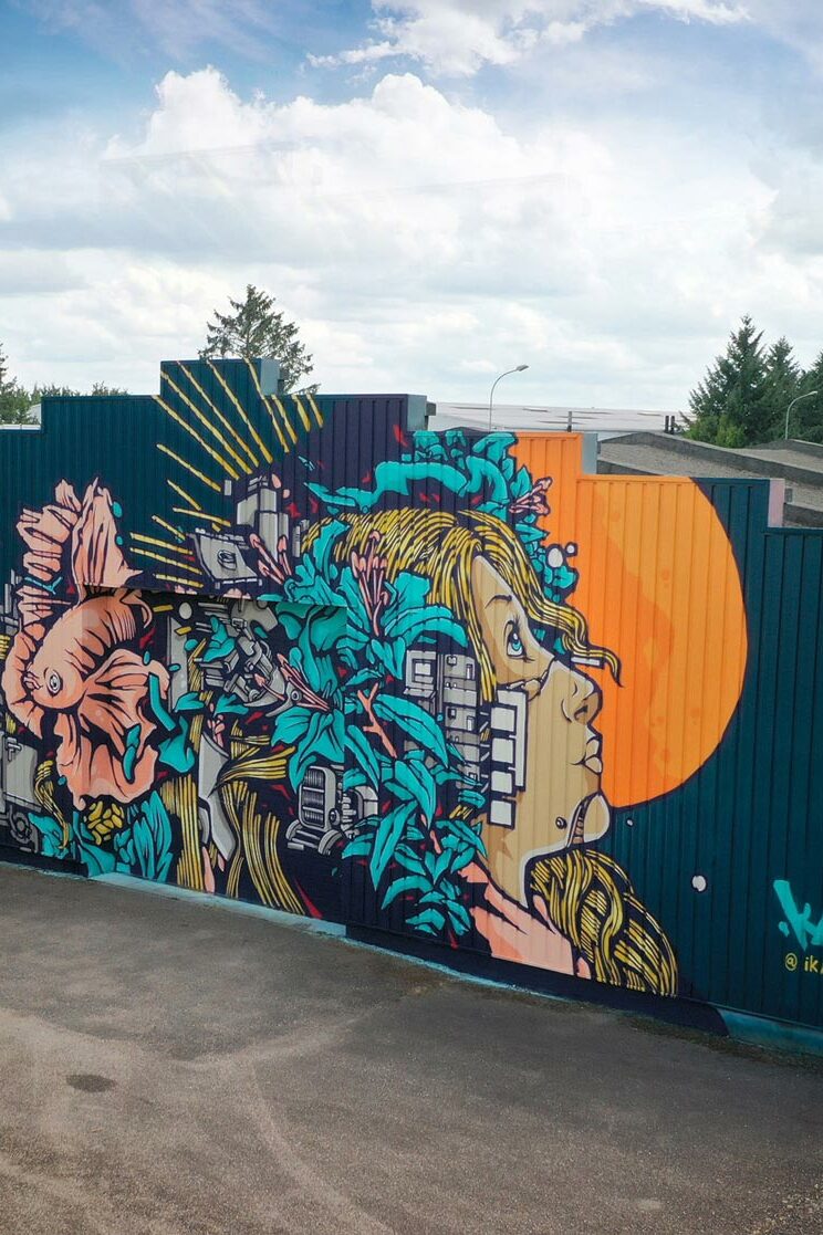 A Street Art Mural paint by Alex Kanos in Metz a street art mural made by alex kanos for secours populaire moselle