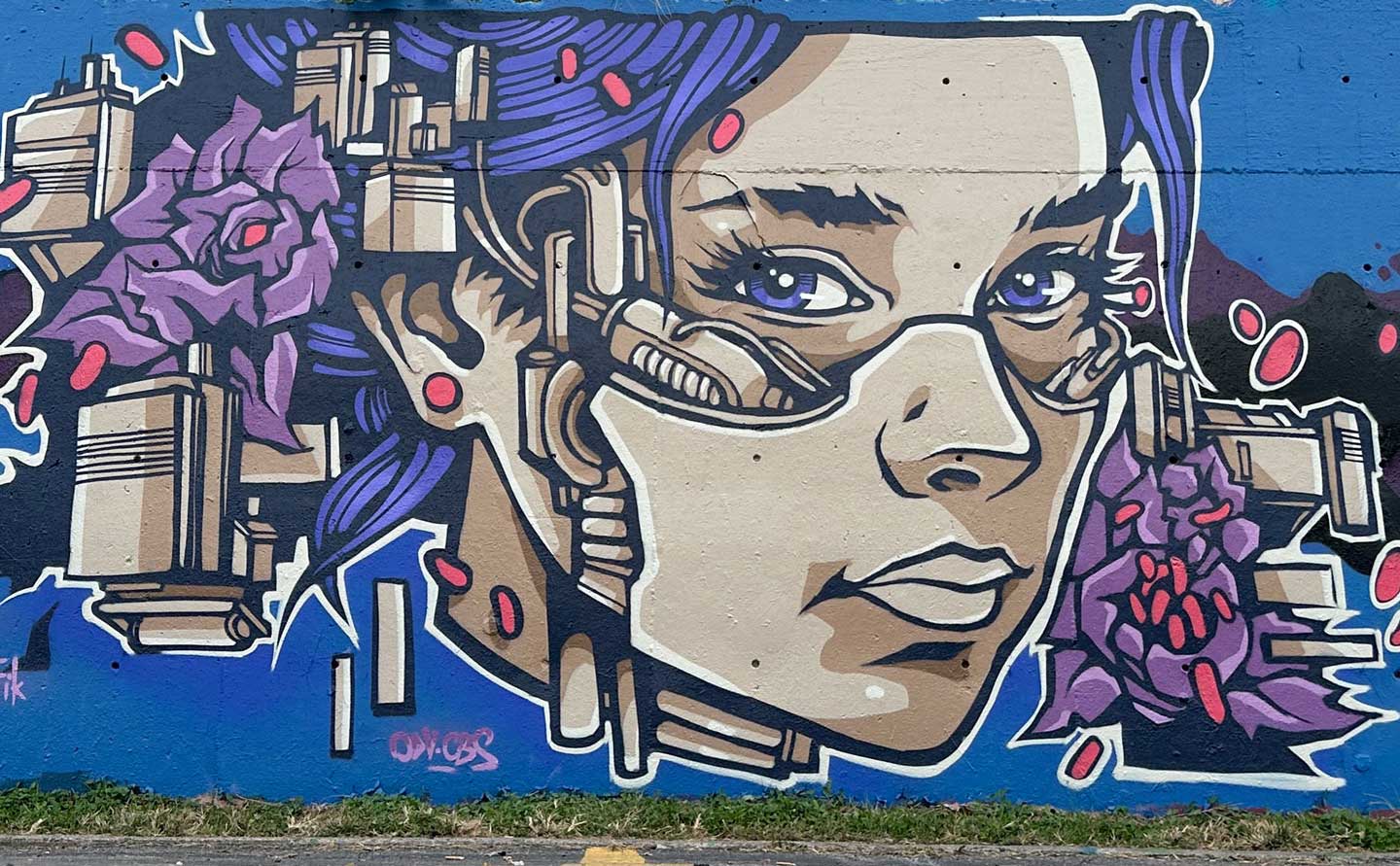 Street art Mural made by Alex Kanos in Austin a street art mural made by Alex Kanos in Austin