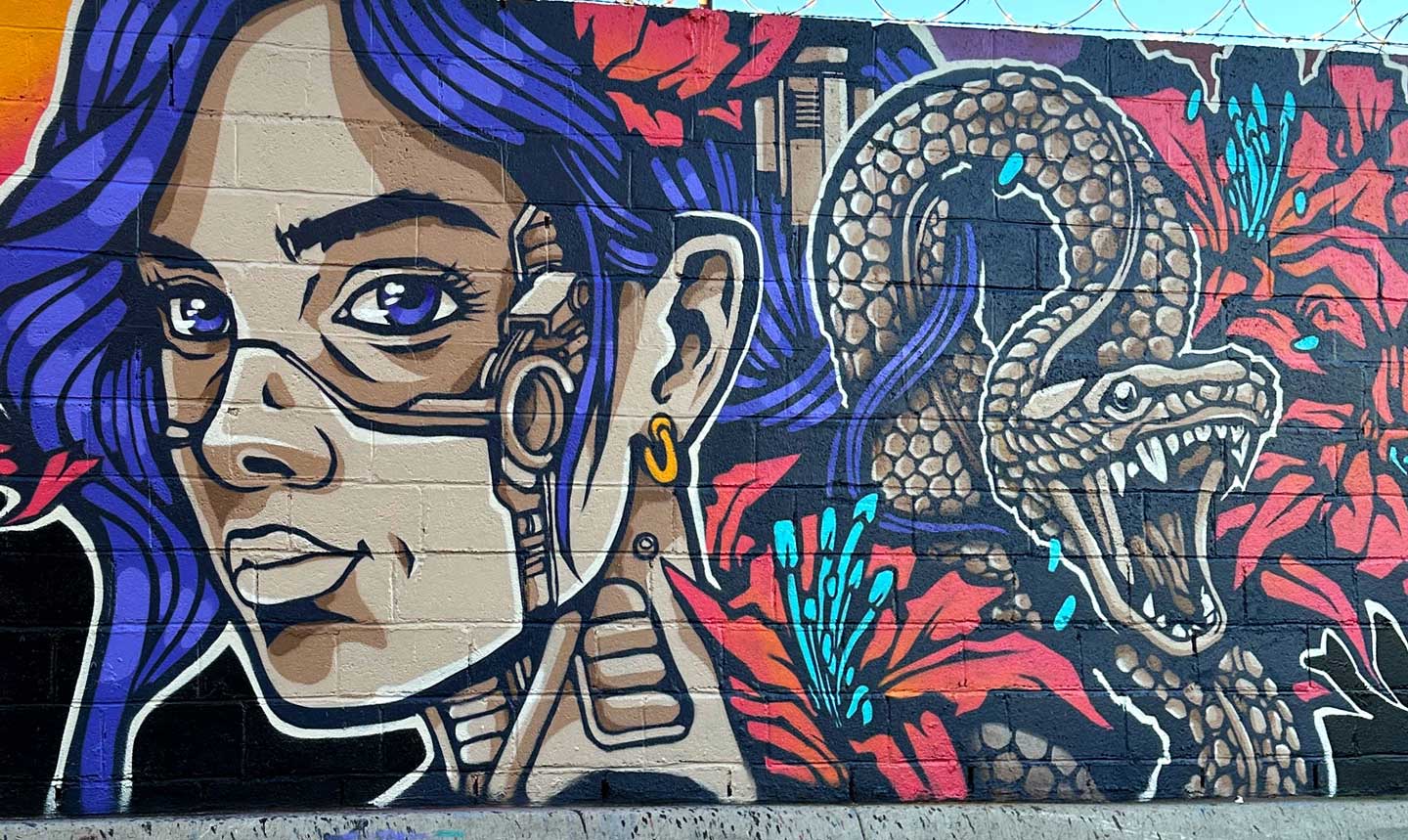 Street art Mural made by Alex Kanos in El Paso Street art Mural made by Alex Kanos in El Paso
